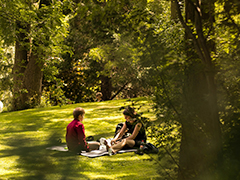 Pollinator Friendly Parks & Greenspaces