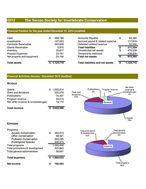 2012 annual report