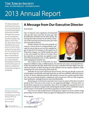 2013 annual report
