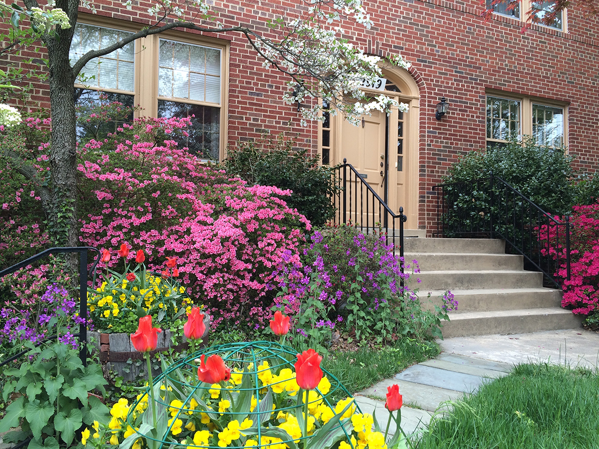 Blooming garden outside a brick building