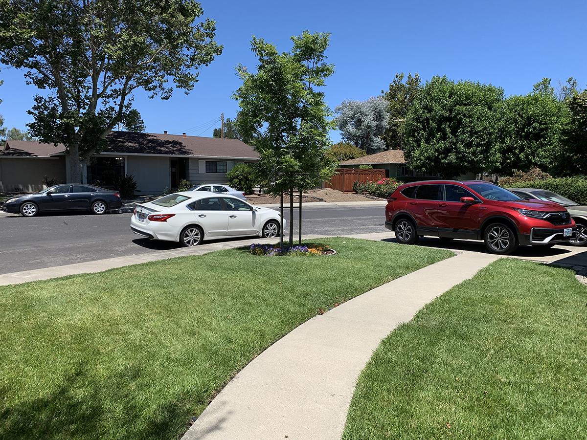 Residential lawn with small floral garden