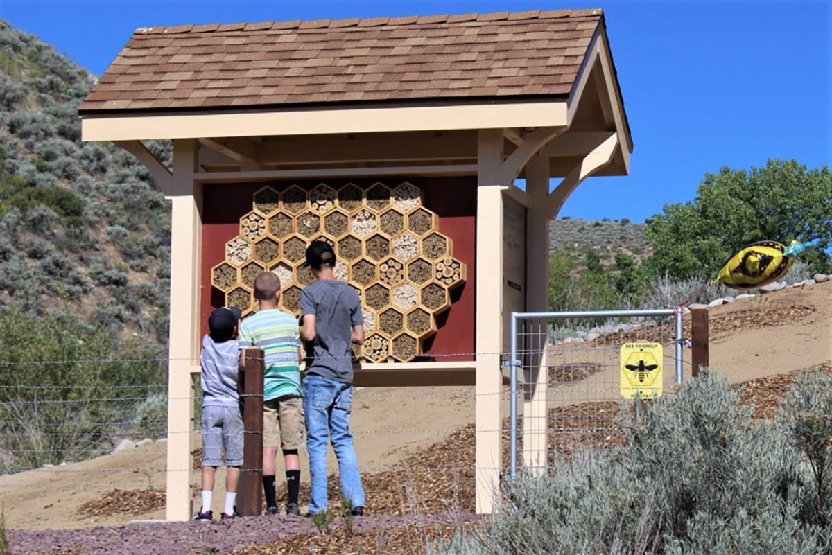 Children stand in front of a display that showcases different bee nests