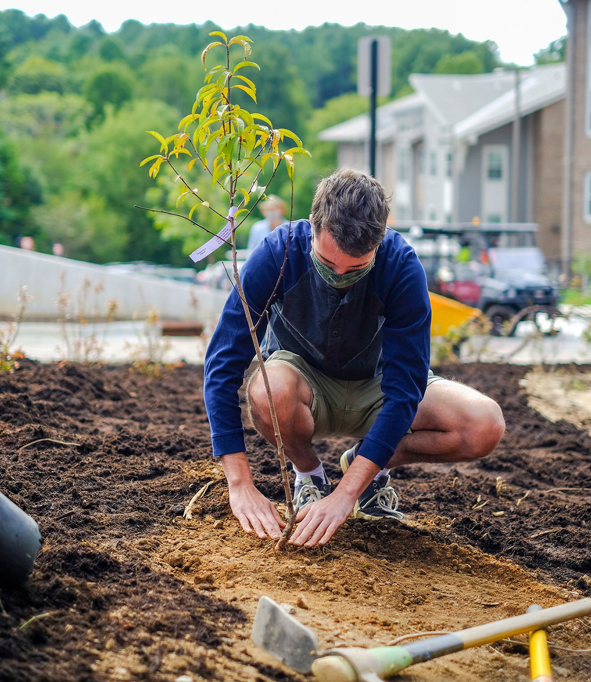 Volunteer planting a peach tree