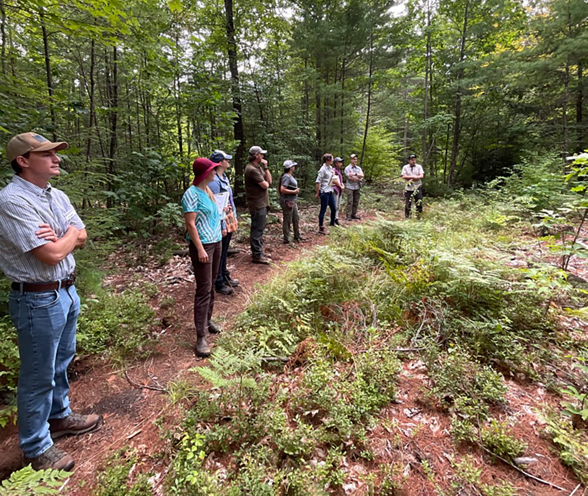 Group of people standing in the forest