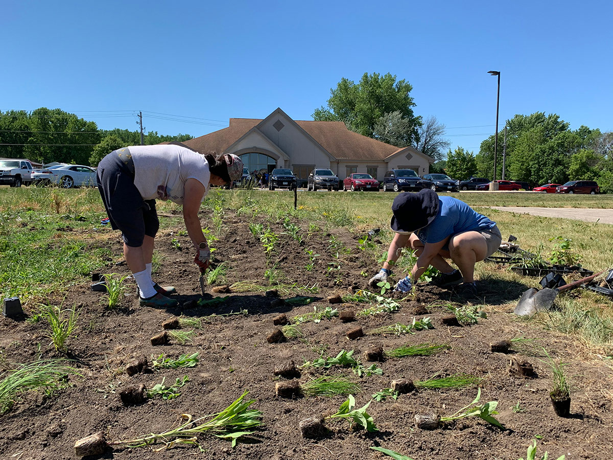 Several people planting seedlings in a prepared site in front of a building