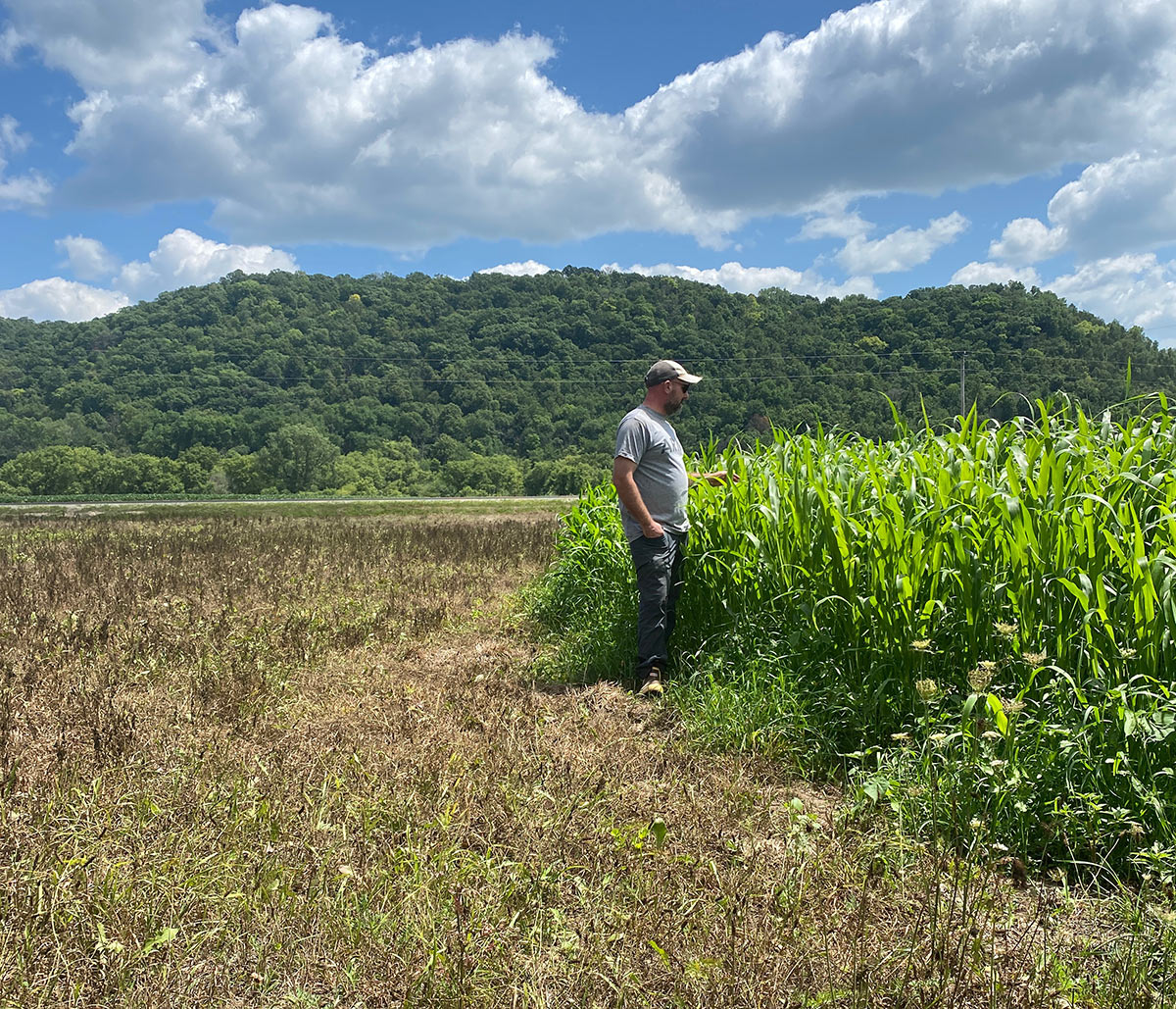 Person standing by a thriving path of land next to a sparse patch of land