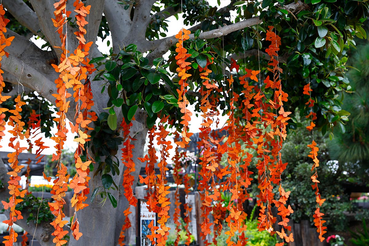 Monarch Wishing Tree holding up hundreds of wooden butterflies