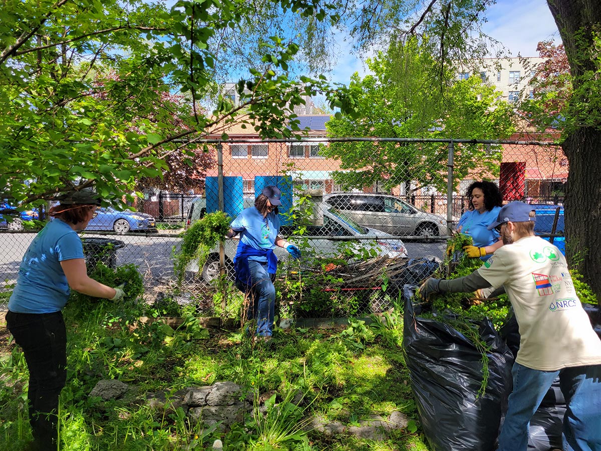 Volunteers weeding the garden of happiness 