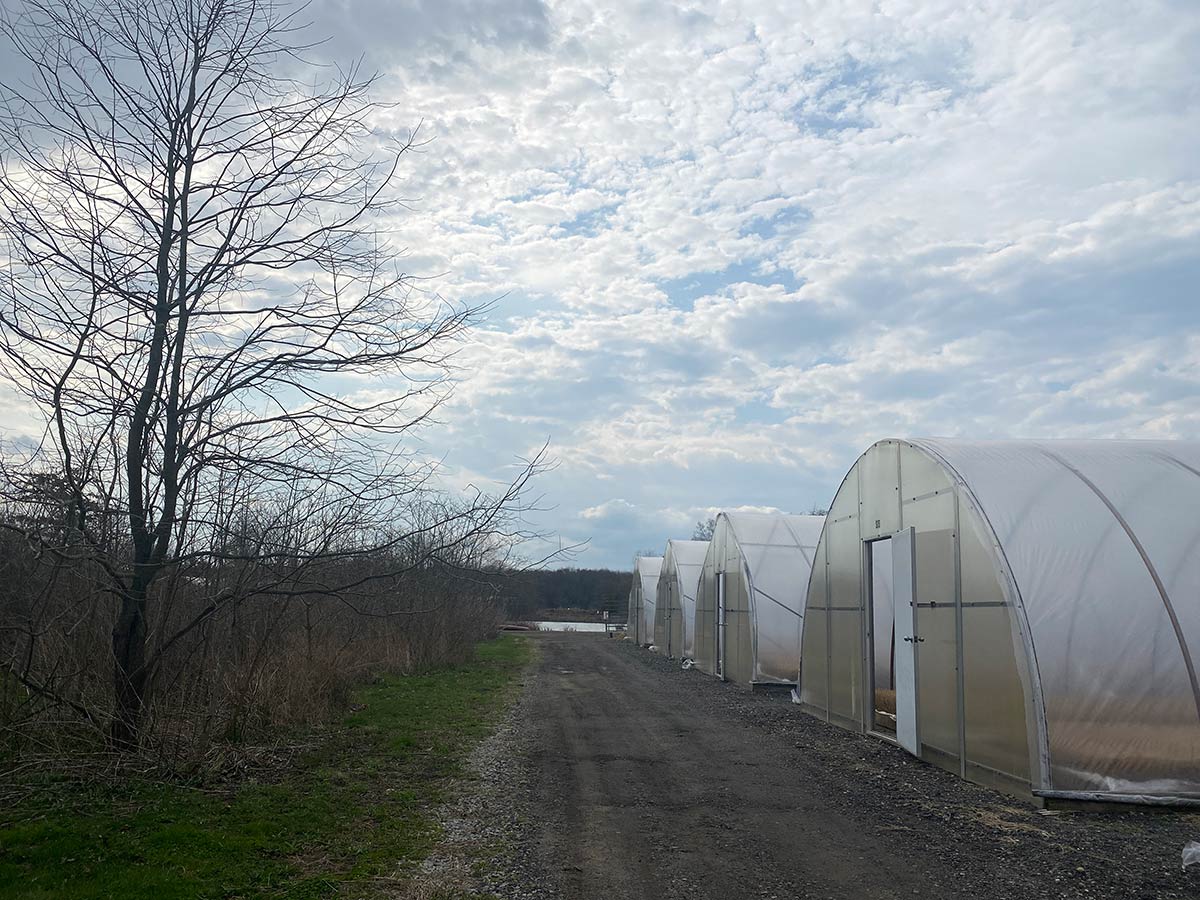 Nursery buildings with a body of water nearby