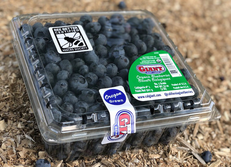 Blueberry package with Bee Better Certified seal sticker on top