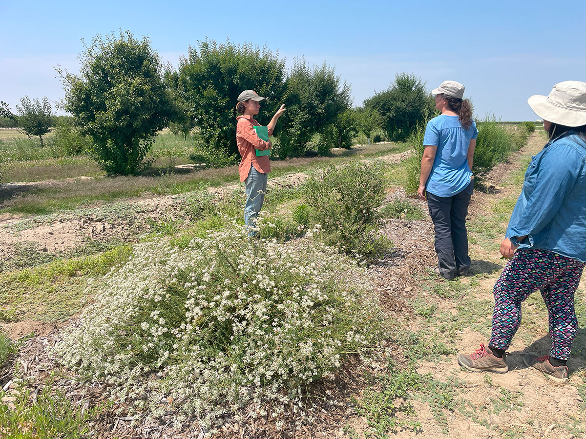 People talking by a hedgerow