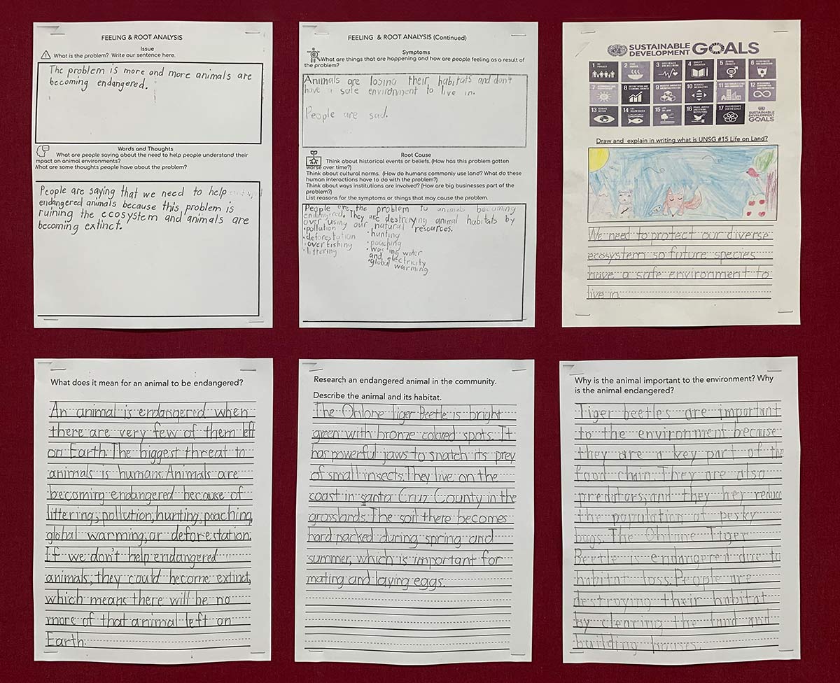 Student worksheets stapled to a wall that describe students' perceptions of the project