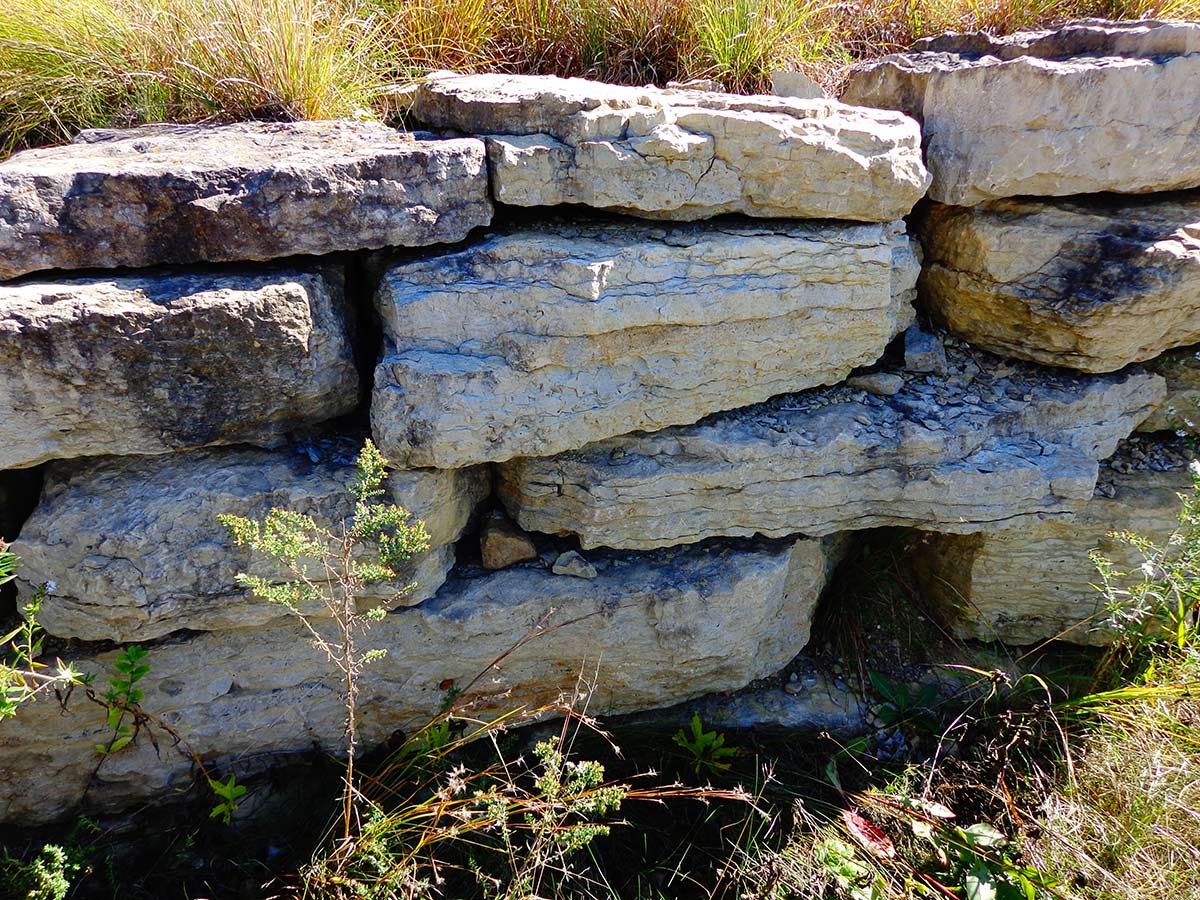 A section of a stone wall, made without any mortar gluing the stones together. The wall holds up a raised planting area. The gaps between and under the slightly uneven stones give wildlife many places to take shelter.