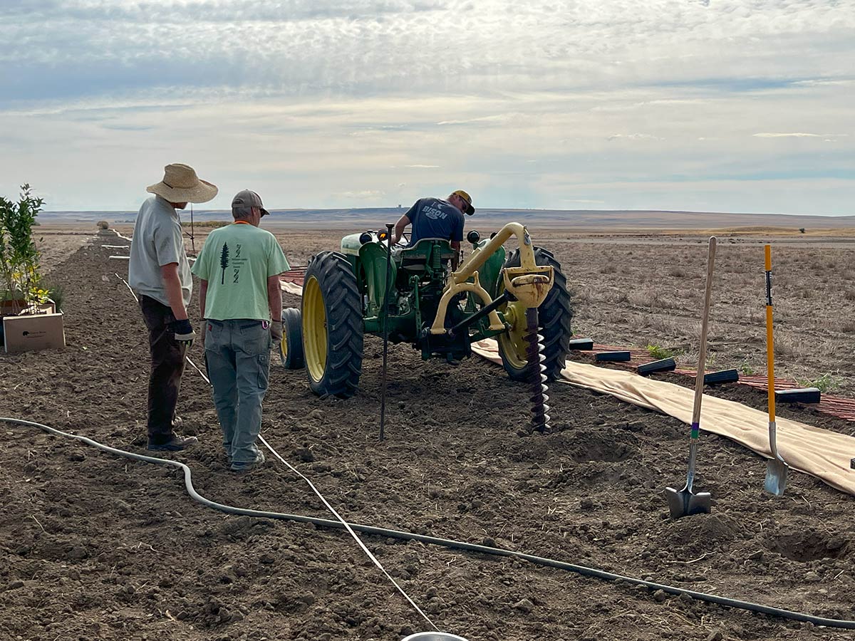 A tractor, with a large hole-boring attachment, being used to drill holes for planting shrubs. The prepared soil and prepared materials for the rest of the hedgerow are visible stretching into the distance along its narrow length, compared to the wide expanse of the fields.