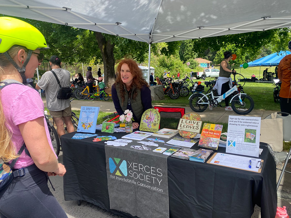 Lisa Loving, a middle-aged woman with dyed red hair, sitting behind a Xerces table display at a community event and talking with a passerby about pollinators.