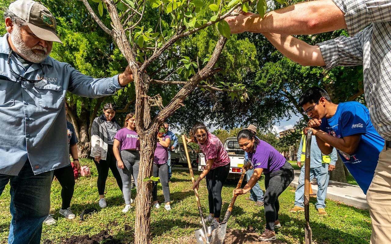 Several people gathered together to plant a tree. One holds the tree steady while others shovel in dirt around it.