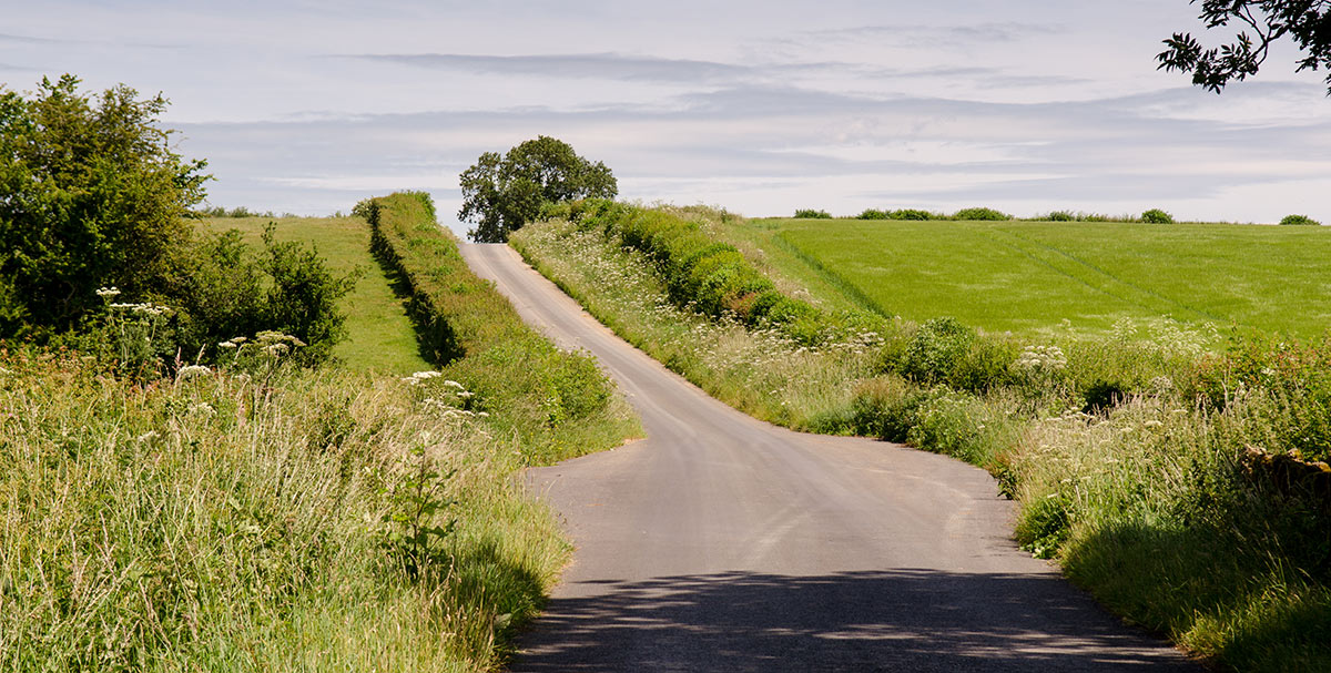 A traditional continuous hedgerow follows along a road in England