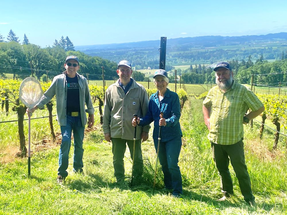 3 men and a women with butterfly nets and hiking poles smile in a vineyard