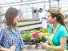Bee-Safe Nursery Plants