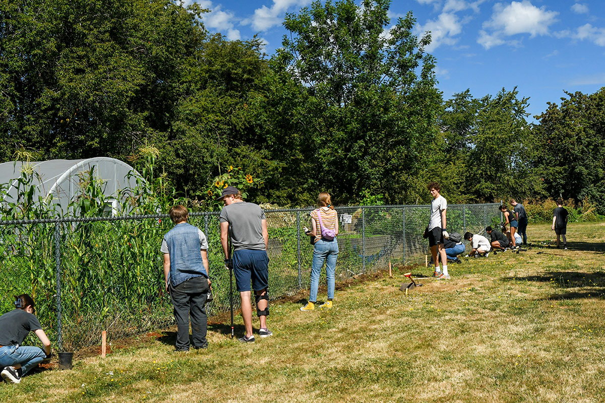 Volunteers planting pollinator habitat at the Portland People's Garden