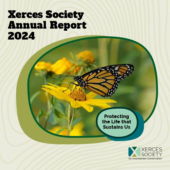 Annual report cover