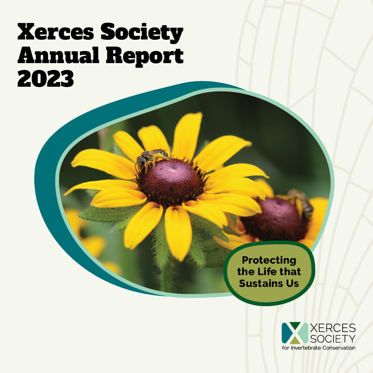 Annual report cover