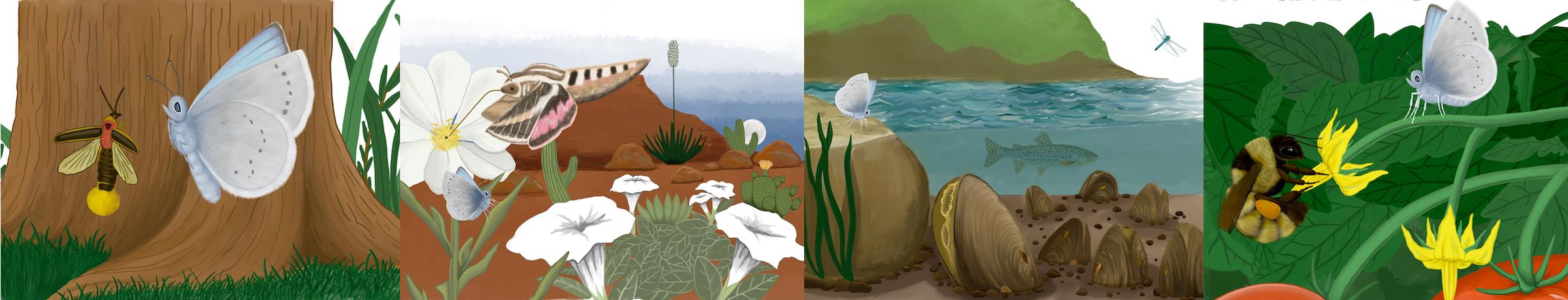 "A picture of a blue butterfly with different invertebrates."