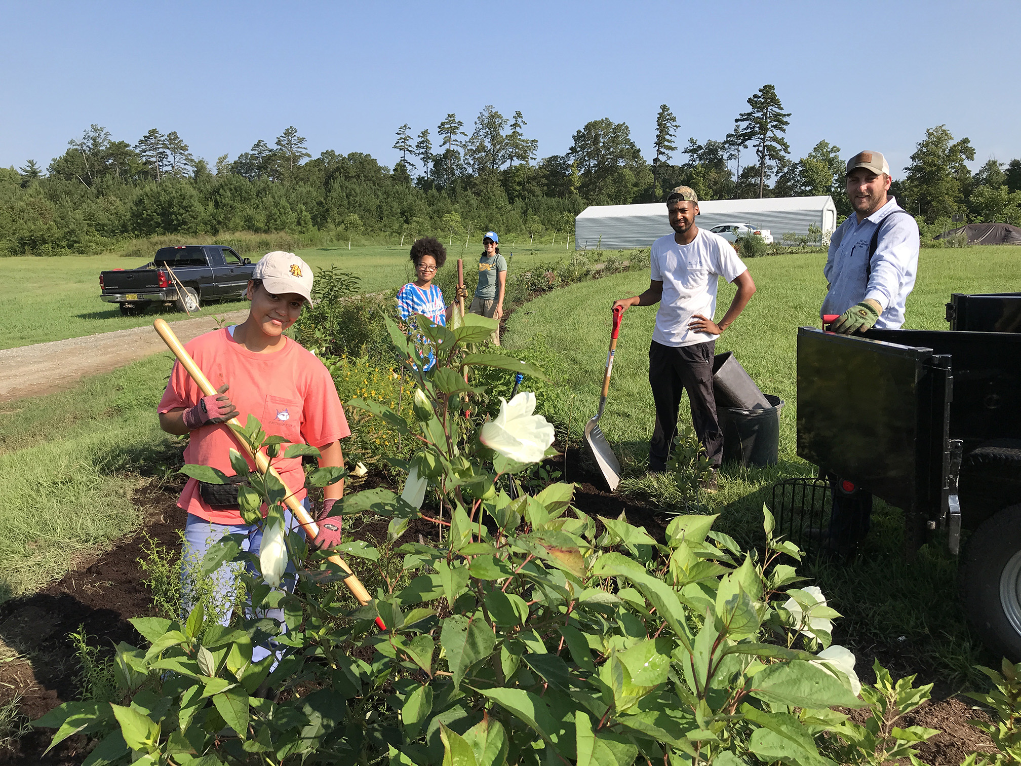 A small group of young men and women work with shovels and other tools to care for a hedgerow