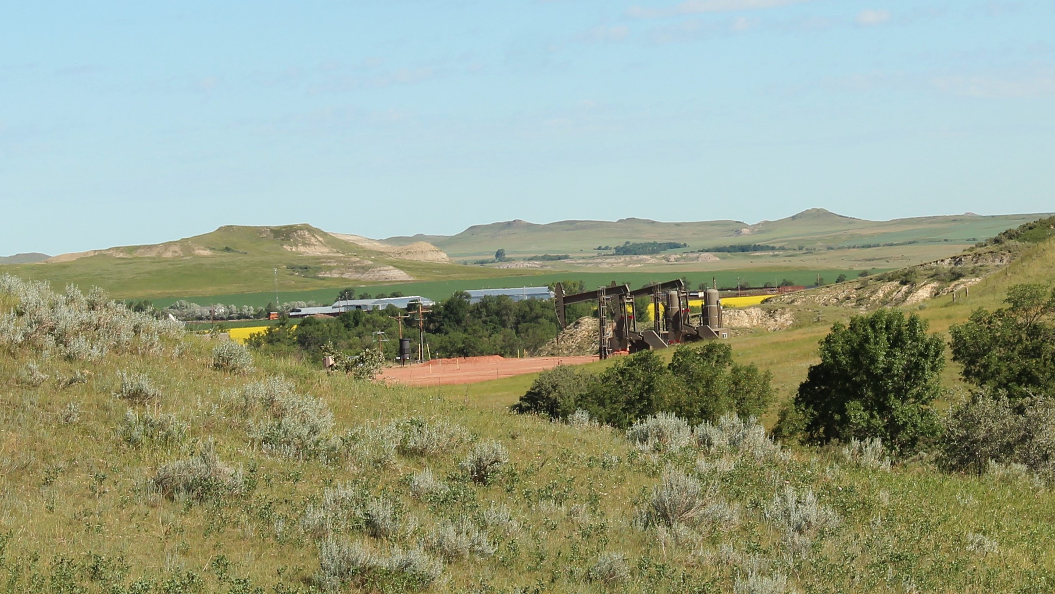A landscape with small hills and grassland. The grassland has been broken up by oil wells and a bright yellow field of canola and other crops.