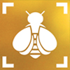 The Bumble Bee Watch logo, which depicts a stylized bee centered in a frame, is shown.