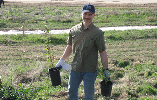 Installation and Establishment