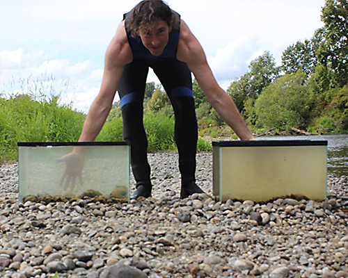 A man leans over two tanks of water: one that has had mussels in it for a while, and therefore has clear water, and one that is cloudy and brownish.