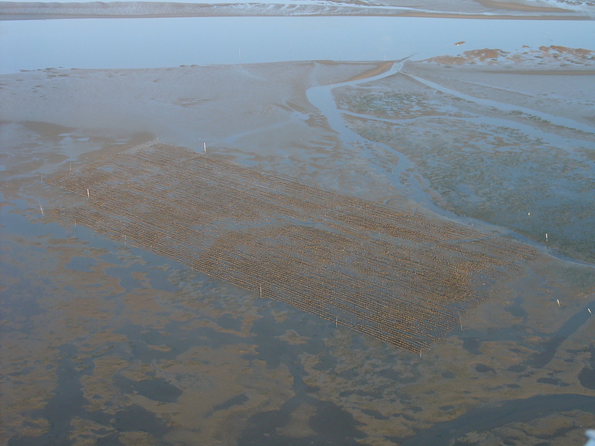 A view from above shows the expanse of tide flats.