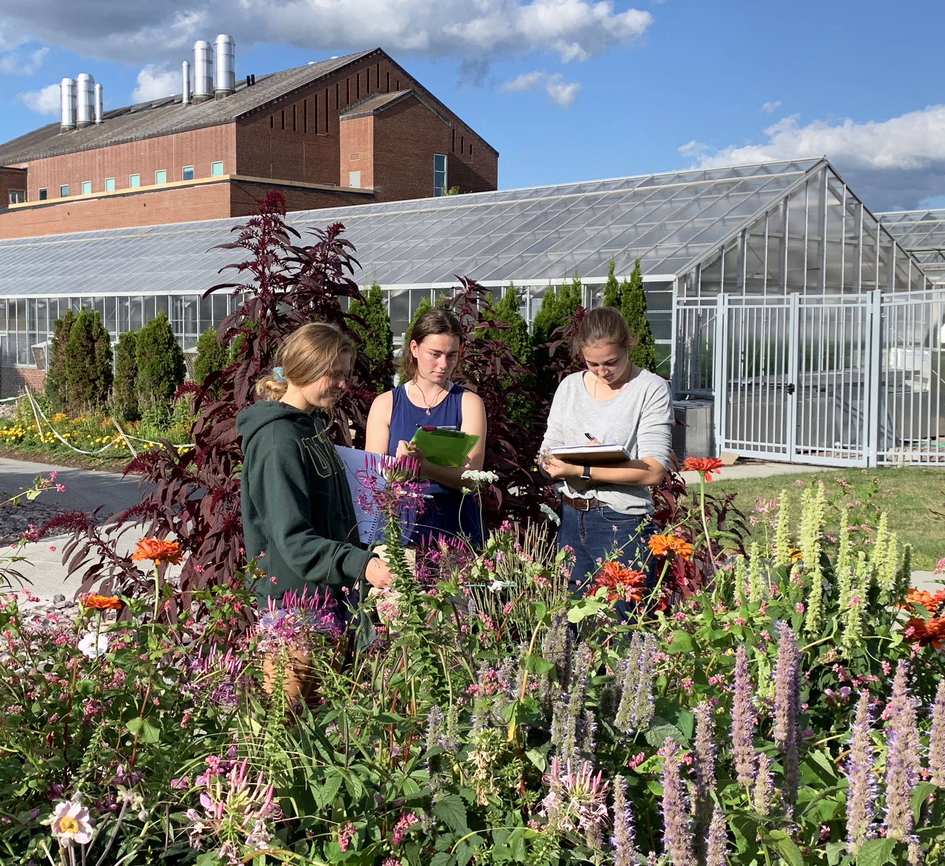 A group of three college students with clipboards watch carefully for bees beside a flower-rich garden.