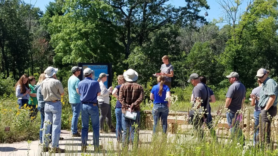A group of people gather in an outdoor setting, their backs to the camera as they face a woman standing on a small, elevated platform in their midst.