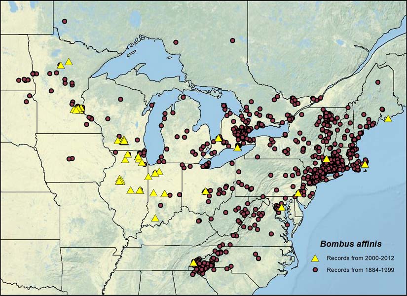 rusty patched range map