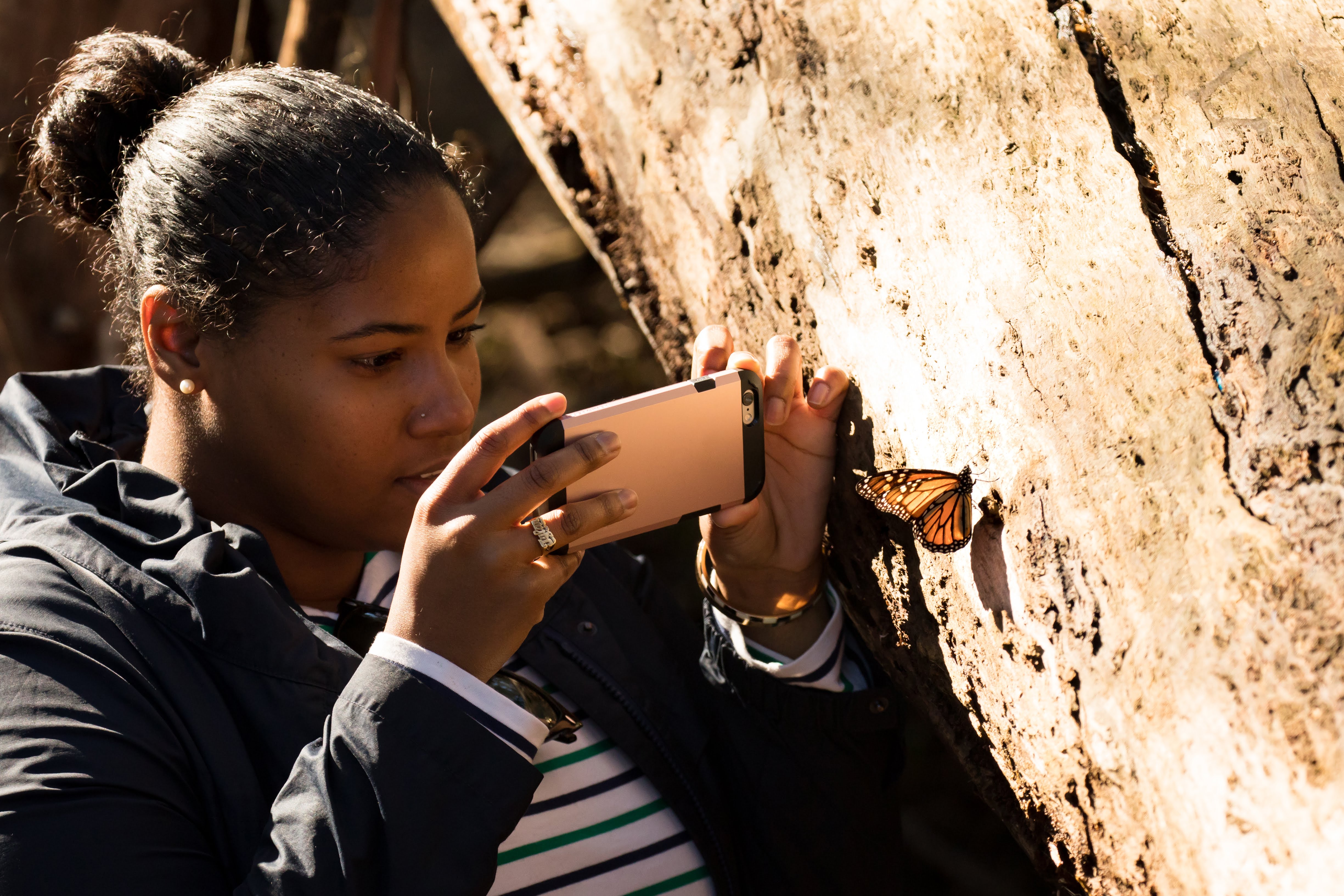 A woman takes a photo of a monarch perched on a tree trunk, using her smartphone.
