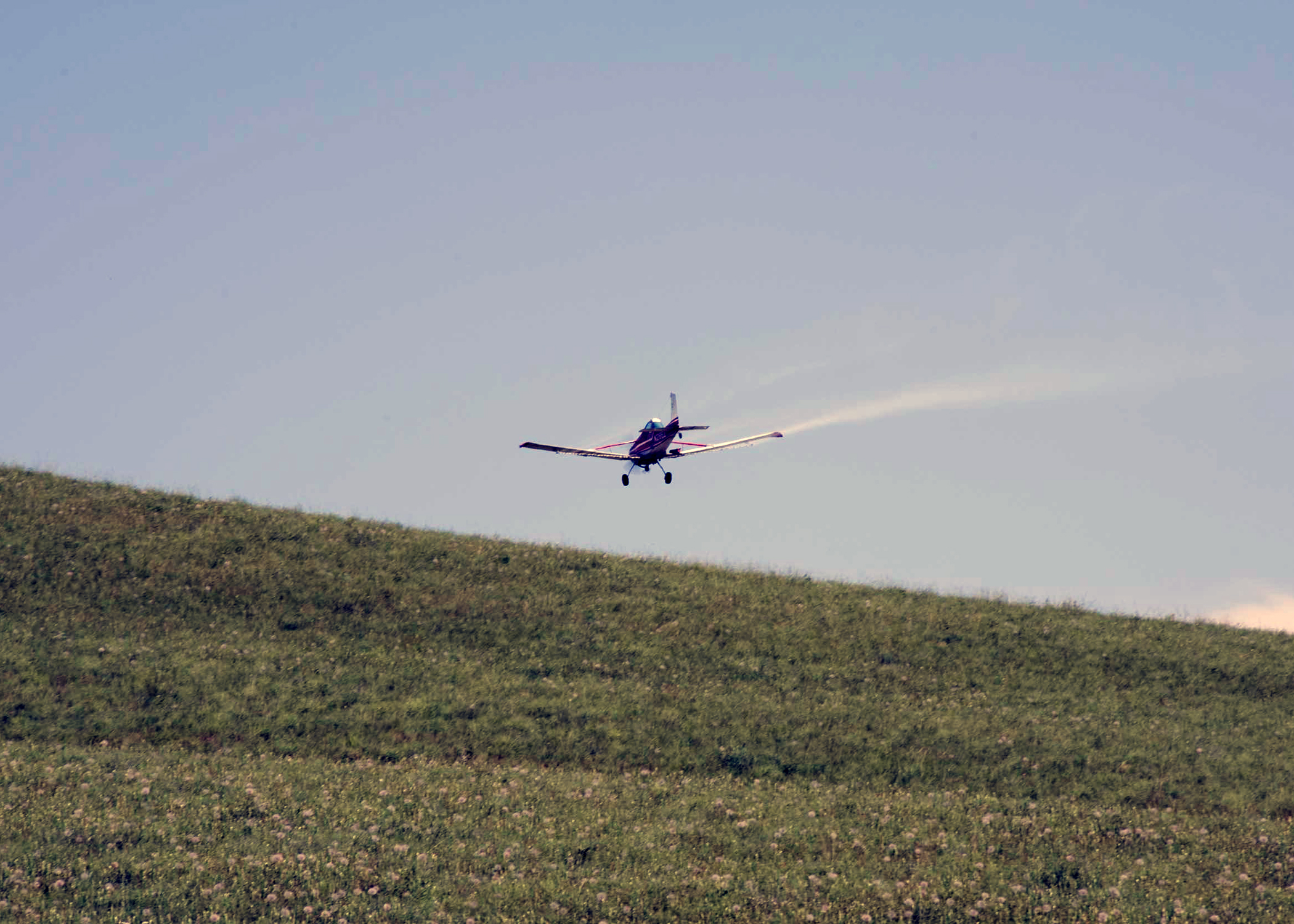 A small aircraft flies close to the ground as it sprays insecticides on rangeland