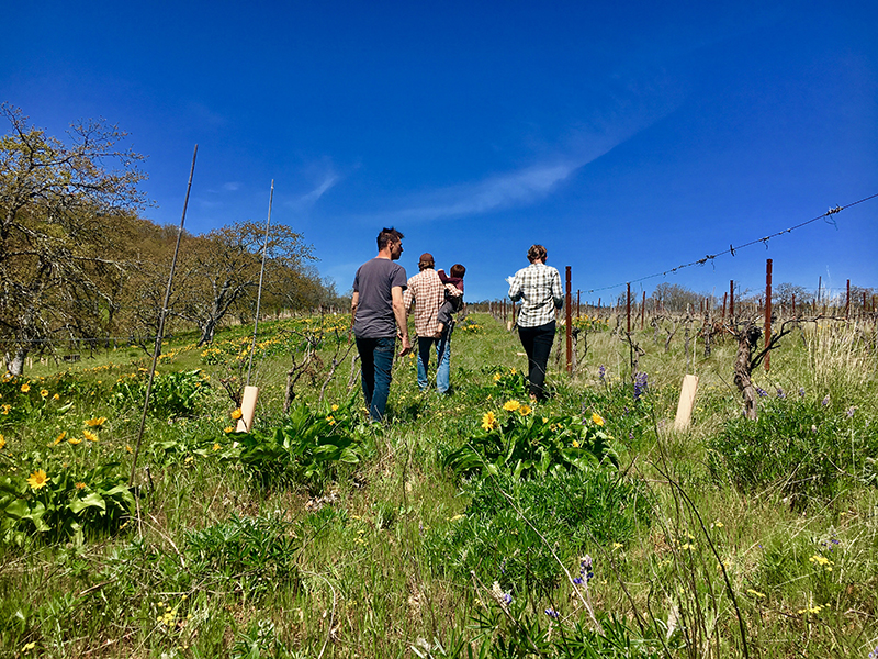 A group of people, including a man holding a small child, walk through a lush agricultural landscape.