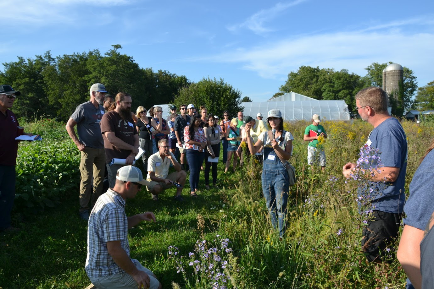 A group of farmers stand between a crop field and flowering meadow listening to a presenter speaking about how to plan habitat for insects.