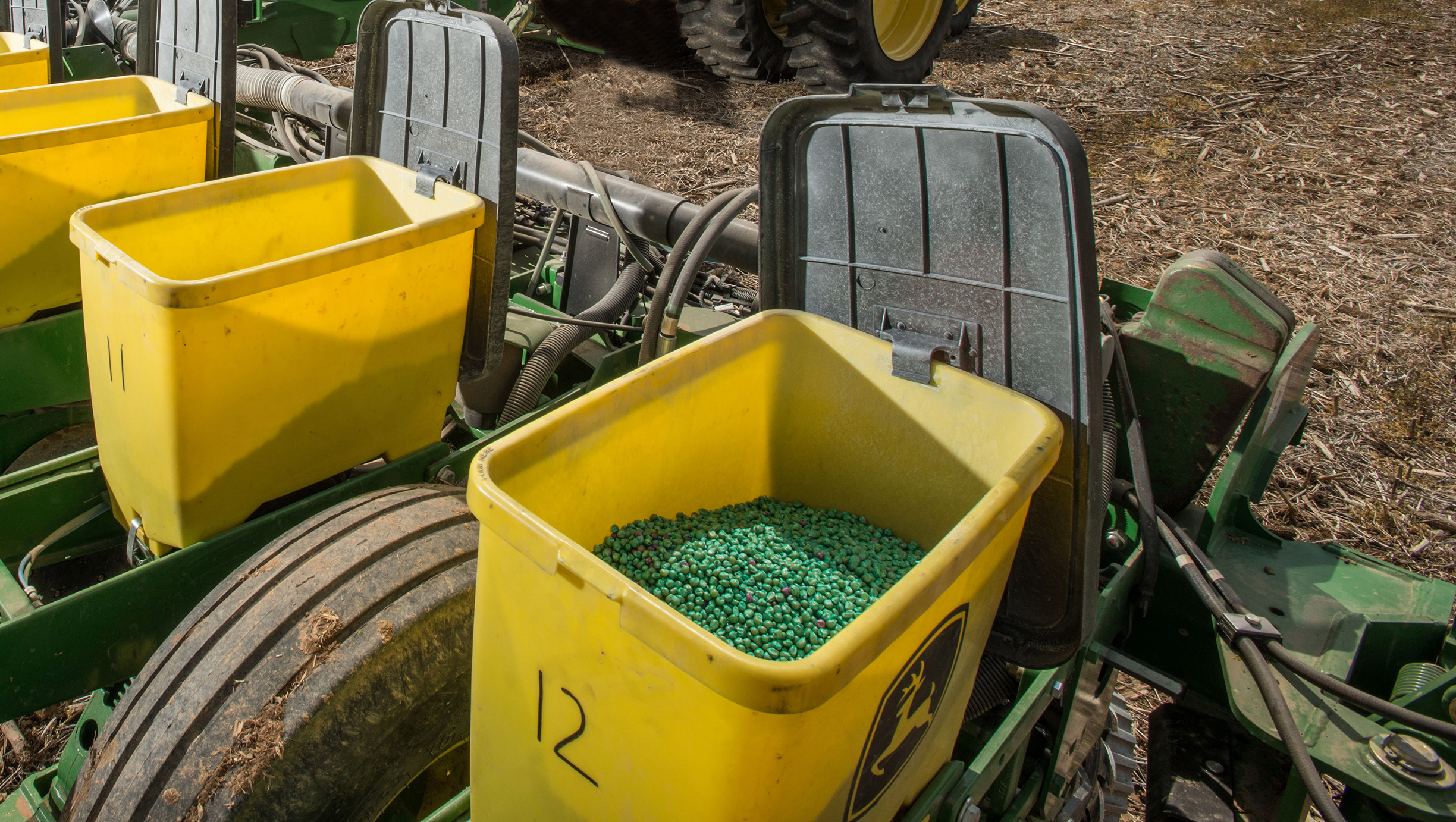 Seed corn, bright green because of a coating of pesticides, loaded into yellow hoppers of a seed drill
