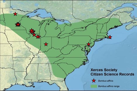rusty patch bumble bee sightings 2008-2012