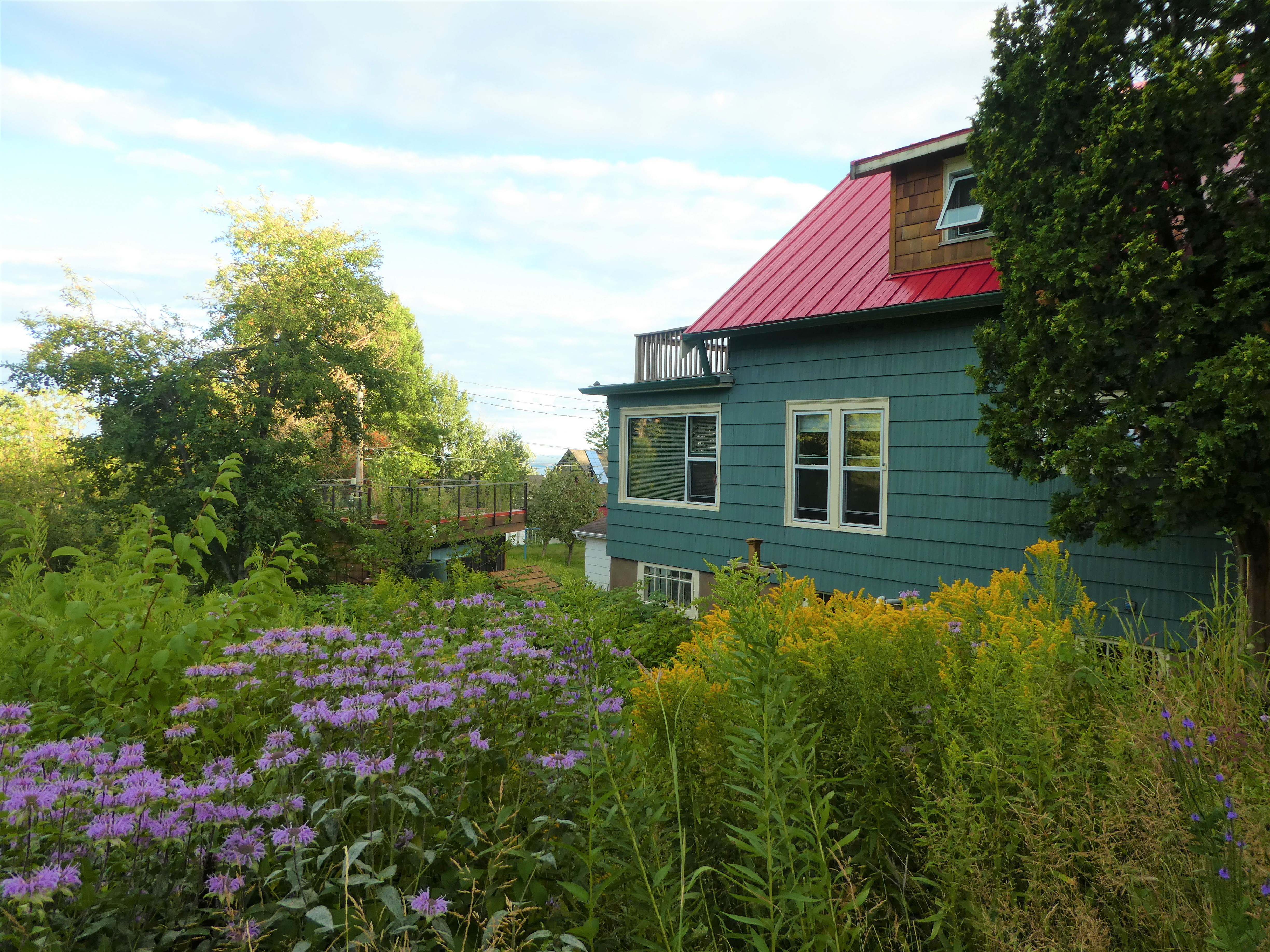 A teal-colored house is seemingly dwarfed by a profusion of plants growing around it, including purple and yellow blooms.