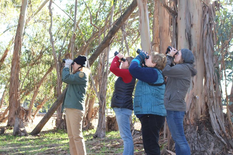 Visiting one to two hundred sites over five hundred miles of coast in a three-week period is no easy feat, and it takes the efforts of over a hundred volunteers. Photo: The Xerces Society / Candace Fallon