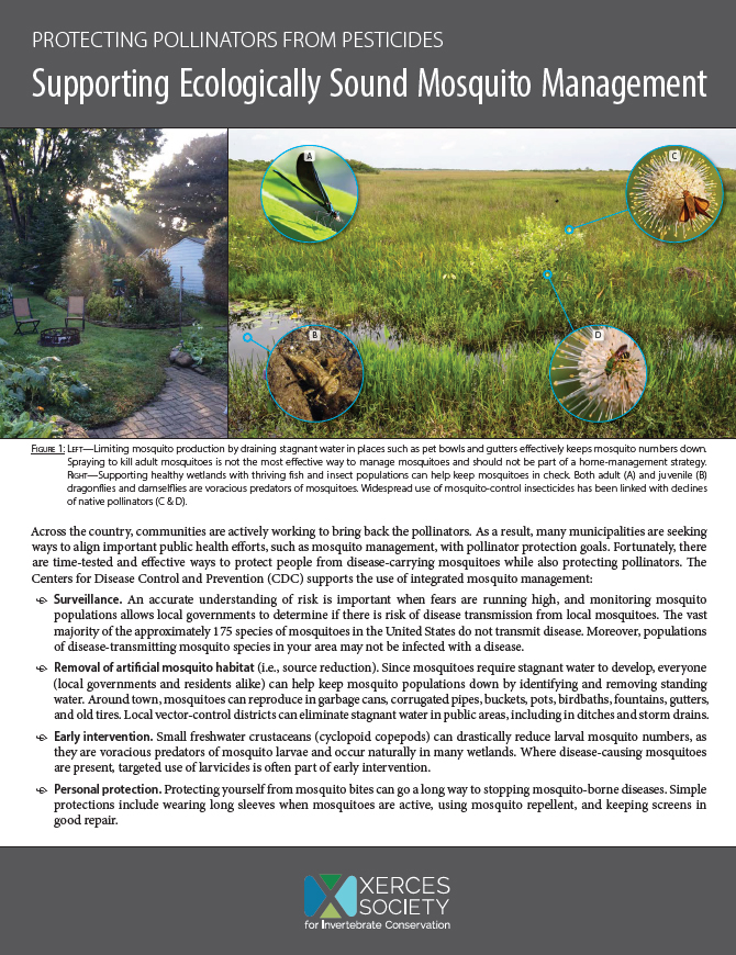 The front page of the guide Supporting Ecologically Sound Mosquito Management: Protecting Pollinators from Pesticides is shown, with some large text blocks and an image of a field in which different insects, including butterflies and bees, are shown in a landscape.