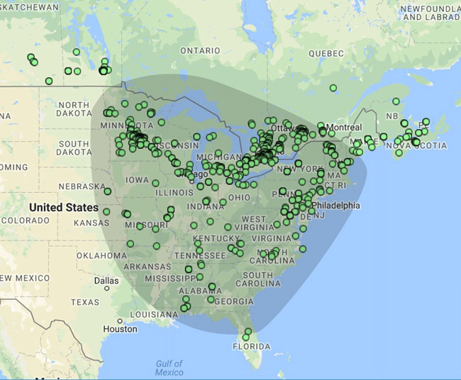 Bombus bimaculatus sightings