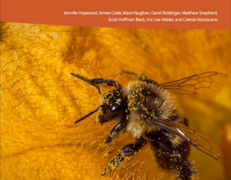 2016 neonic report