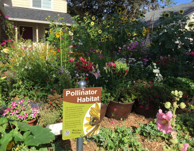 A beautiful, colorful garden bursts with a variety of blooms. In the background, a partially obscured, brightly-painted house stands. In the foreground is a Xerces Society pollinator habitat sign.