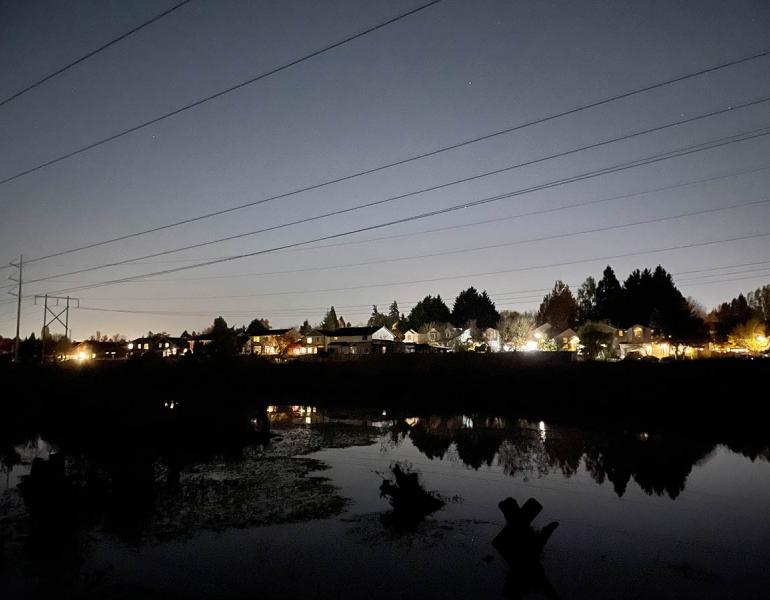 Looking from a wetland and natural area in a park out into the surrounding streets. Many of the houses have unnecessary lighting in their backyards that throw light far into the wetlands. Instead of darkness, the sky behind the lights is a bright grey, blocking out all but the brightest stars, which are just barely visible. 