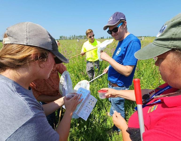 Several people, both women and men, each carrying butterfly nets, gather together to look excitedly at a bee identification guide. Two are holding bees in plastic containers, comparing them to the guide.
